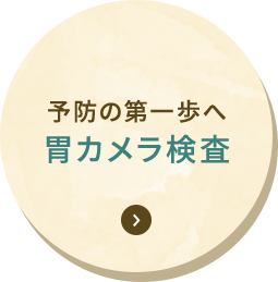 予防の第一歩へ 胃カメラ検査
