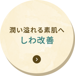 潤い溢れる素肌へ しわ改善