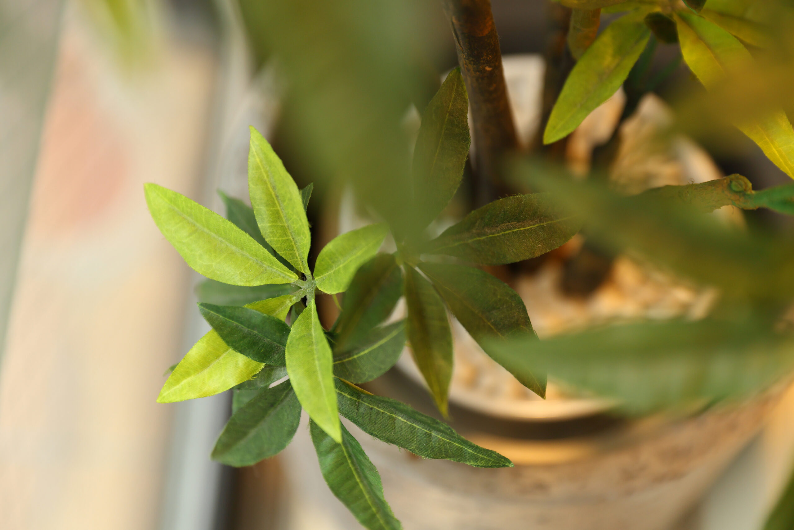 横浜橋クリニック