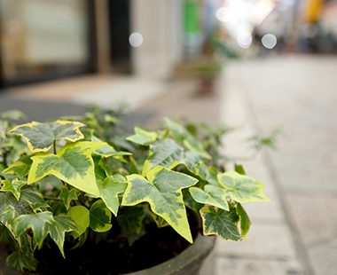横浜橋クリニック