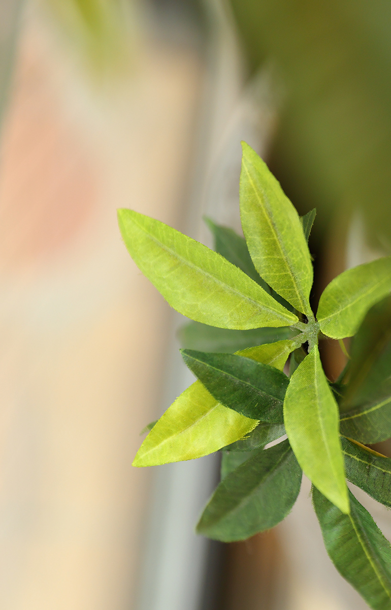 横浜橋クリニック