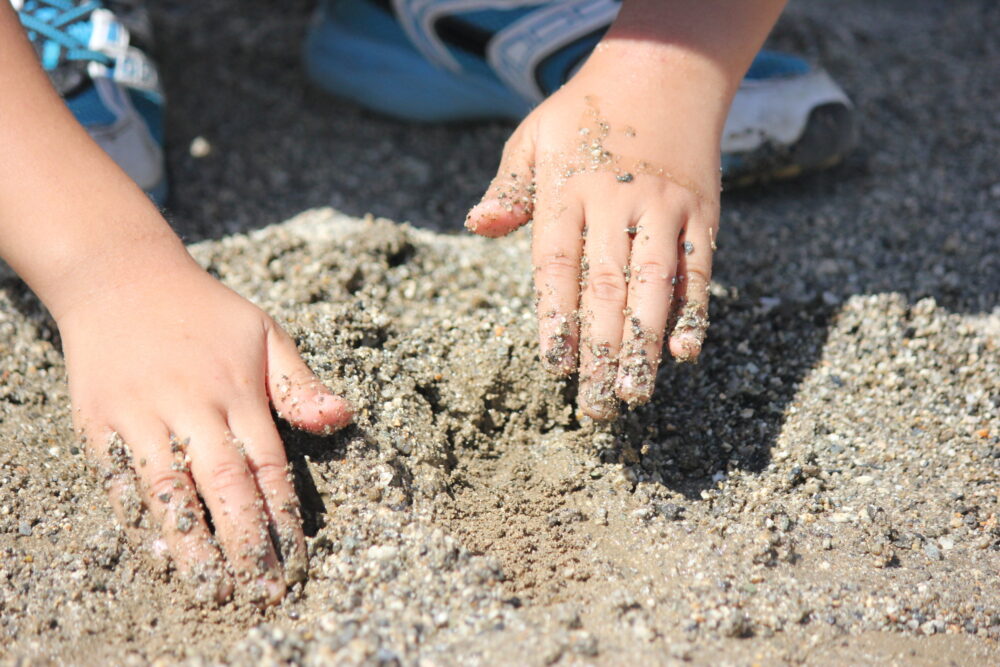 ピロリ菌の感染原因